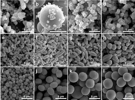 Fig S10 SEM Images Of MnCO 3 Top PbCO 3 Middle And CdCO 3