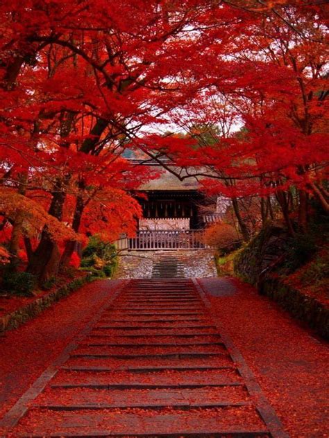 Paysages Japonnais Quand La Nature Prend Ses Magnifiques Couleurs