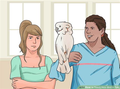 How to Teach Your Bird to Talk: 11 Steps (with Pictures) - wikiHow