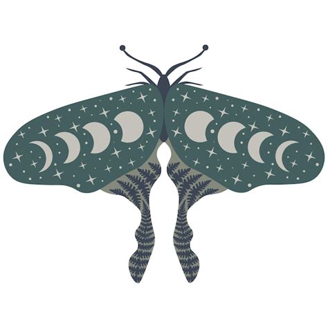 Ilustración de vector de mariposa celestial Polilla luna mística con