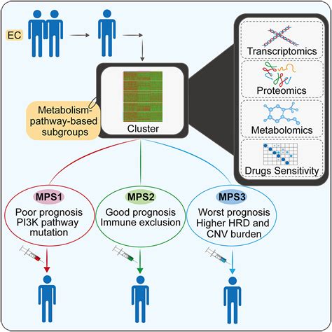 Metabolism Pathway Based Subtyping In Endometrial Cancer An Integrated