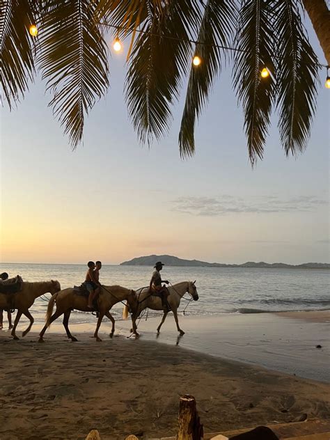 Costa rica aesthetic – Artofit