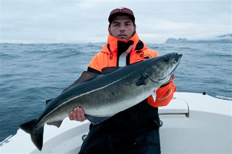 Team Mörtsnurb: Fina bilder från Vaeröy.