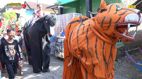 Bandar Gincu Spesial Arak Arakan Keliling Burok Dangdut Cinta Nada