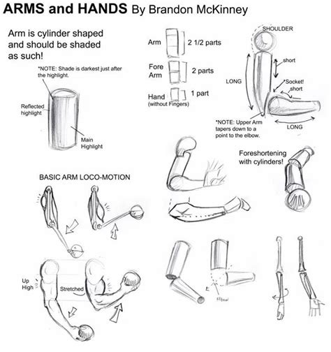 Anatomy Sketches: Drawing Tutorials