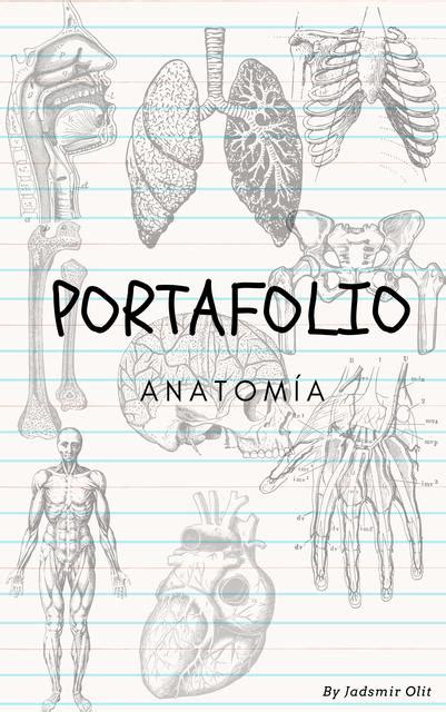 Portafolio Anatom A Parte I Jadsmir Olit Infante Llatas Udocz