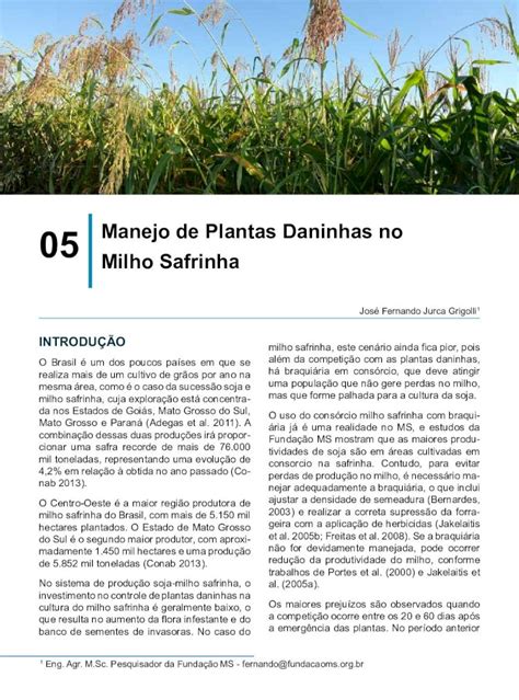 PDF Manejo De Plantas Daninhas No Milho Safrinha Plantas Daninhas