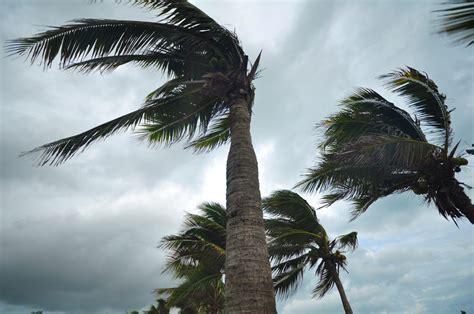 Helping Others Suffering Through Storms Diocese Of Orlando Florida