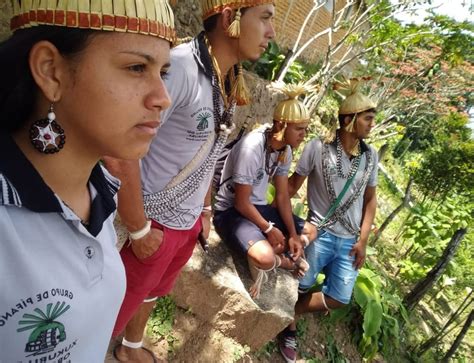 Evento que debate preservação da Amazônia chega ao Recife no fim de