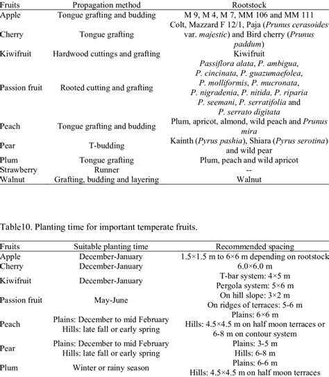 recommended propagation method  rootstock  important temperate