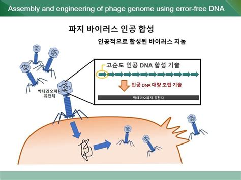 셀레믹스 합성생물학 서울대학교와 기술이전 계약 체결