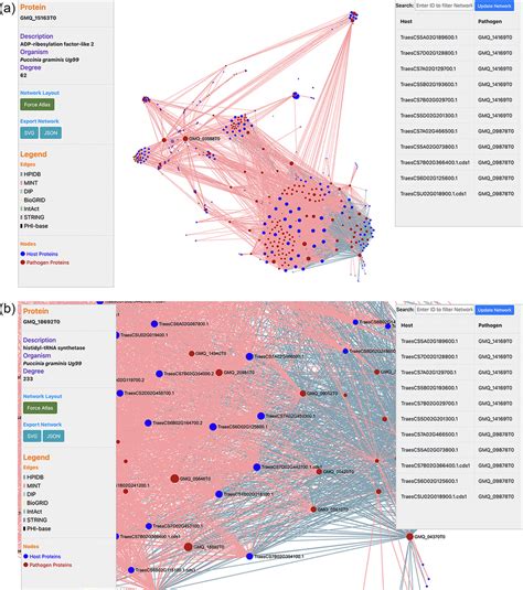 A Network Visualization Of The Predicted Interactome From The