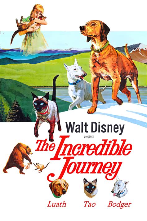 The Incredible Journey 1963 Posters — The Movie Database Tmdb