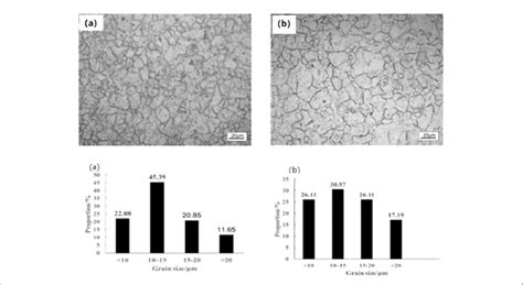 Metallographic Photos And Grain Size Distribution Of Original Austenite