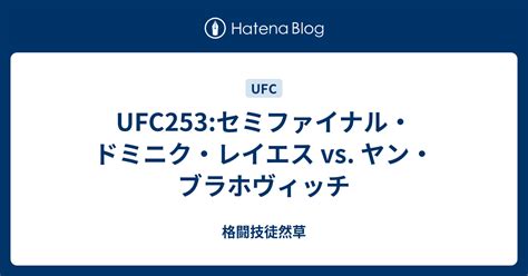 Ufc253セミファイナル・ドミニク・レイエス Vs ヤン・ブラホヴィッチ 格闘技徒然草