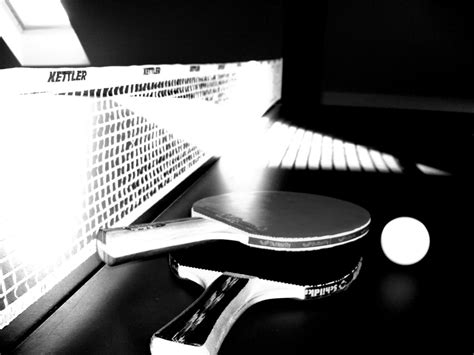 🔥 [70+] Table Tennis Wallpapers | WallpaperSafari