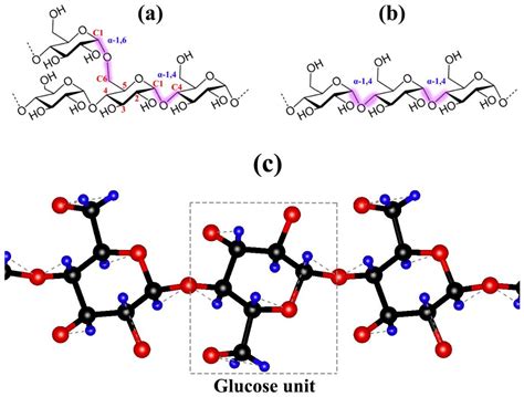 Chemical Makeup Of Glucose And Starch - Mugeek Vidalondon