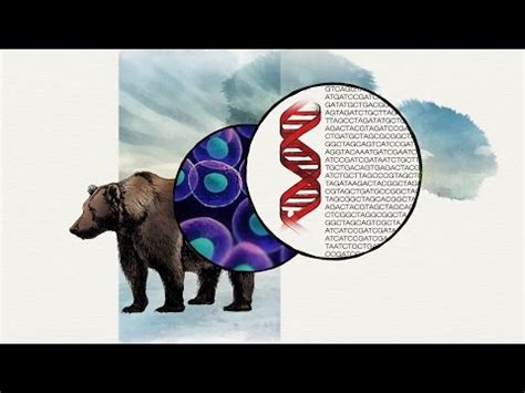 Universal Genetic Code (Evolution) — Evidence & Examples - Expii