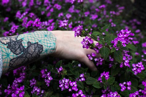 Peony tattoo on Behance