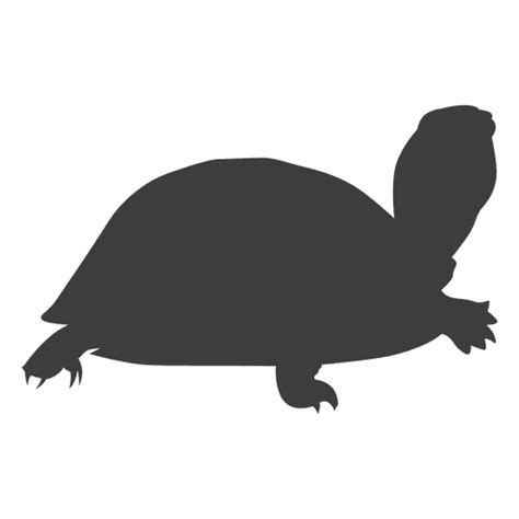 Tortoise Png Images Transparent Background Png Play