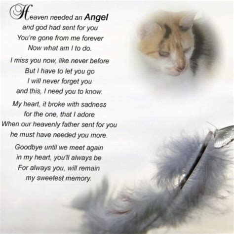 Poem of Pet Remembrance