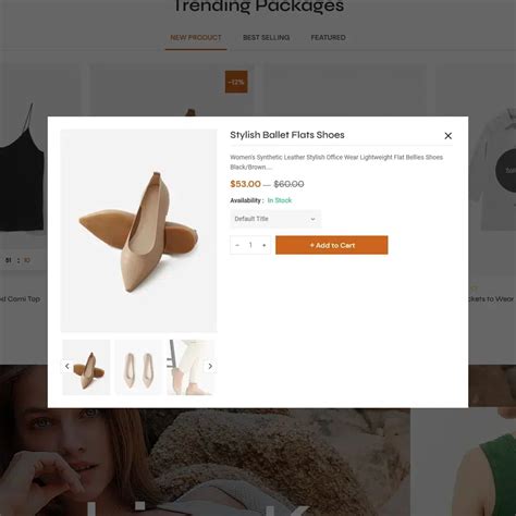 Assassina Lingerie Swimwear Shopify Theme