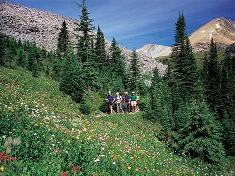 Hiking in Banff Alberta | Canadian Rockies Hiking Tours | Backroads