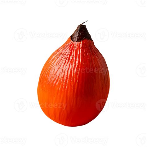 Babaco fruit isolated on transparent background 46825206 PNG