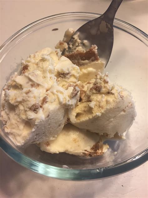 Trader Joes Speculoos Cookie Butter Ice Cream