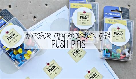 Teacher Appreciation T Push Pins Brie Brie Blooms