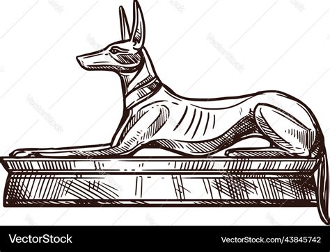 Ancient egypt anubis god dog deity in sketch Vector Image