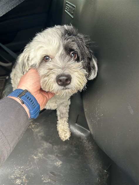 Thurston Co. Scanner, News, & Weather Blog