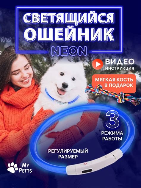 Светящийся светодиодный неоновый ошейник для собак usb - купить с ...