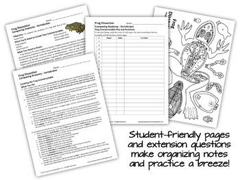 Frog Dissection Lesson Model 3D Paper Scienstructable Digital