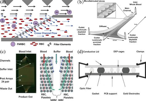 Microfluidic Physical Methods For Sorting Separation Of FNRBCs A