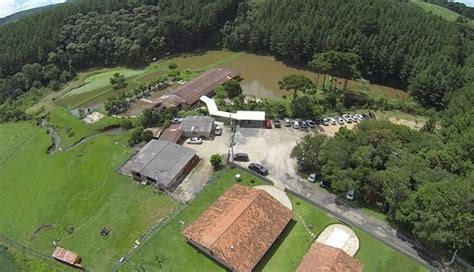 Iarek Pesque E Pague Bar Restaurante E Pesqueiro B Ra Pescar