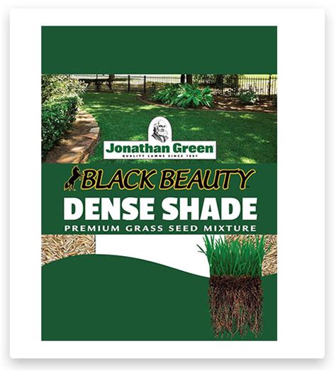 Jonathan Green Grass Seed 2023 Jonathan Green Full Sun Grass Seed