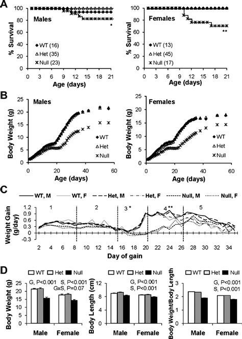 Cdo Null Mice Have Reduced Mortality And Grow At A Reduced Rate After