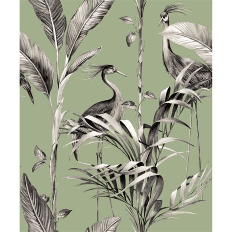 Azzurra Leaf Heron Tropical Birds Leaves Fronds World Of Wallpaper Sage