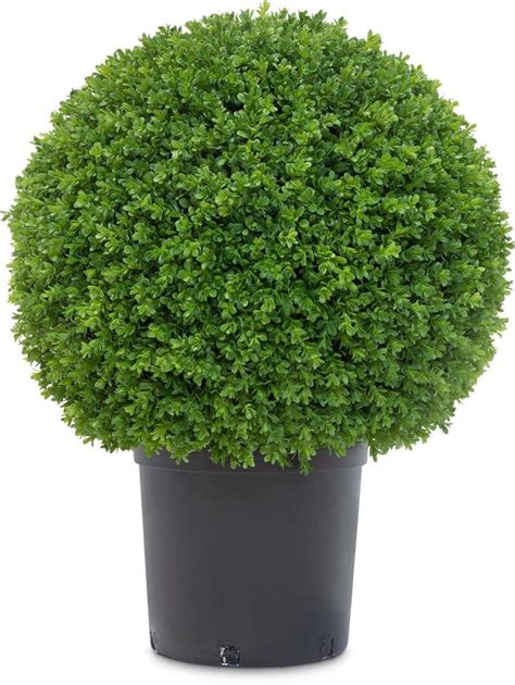 Artificial Topiary Buxus Ball Plant Ascend Plant Displays