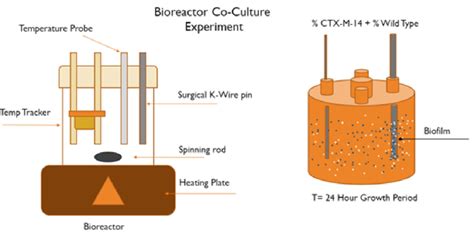 Bioreactor Design For Benchtop 500ml Fed Batch Operation Left 2 D