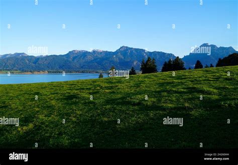 Scenic Landscape Of Lake Forggensee Surrounded By The German Alps