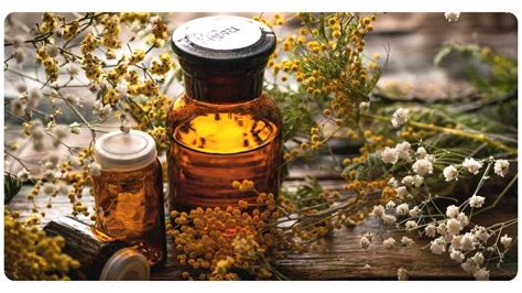 5 Best Online Herbalist Schools & Classes | The Botanical Institute