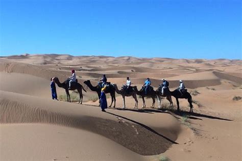 Erfoud Luxury Desert Tour Overnight Stay At Erg Chebbi Dunes With