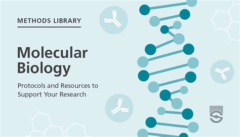 Molecular Biology
