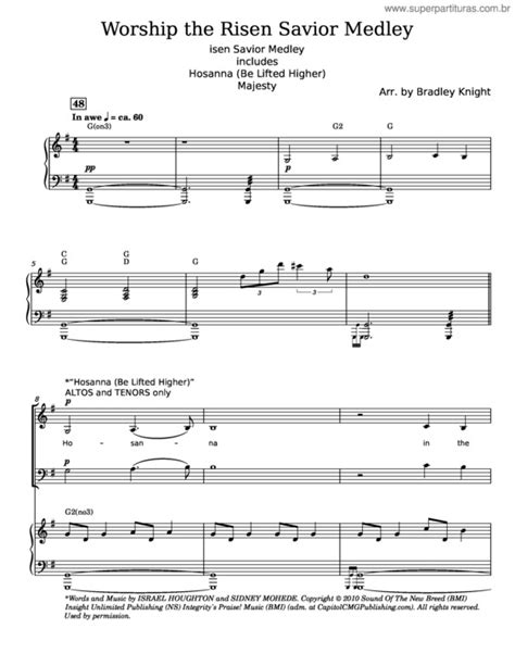 Super Partituras Savior V Red Hot Chili Peppers Cifra