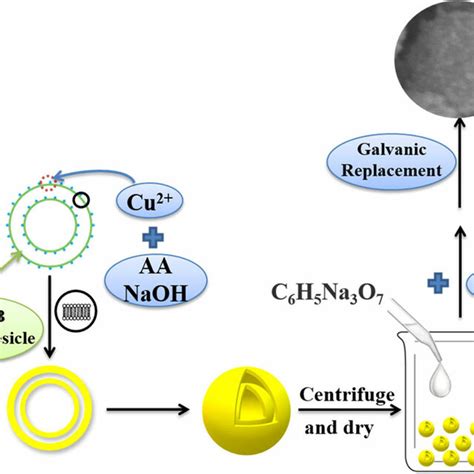 Schematic Diagram Of The Formation Process Of Au X Cu 2 O Composites