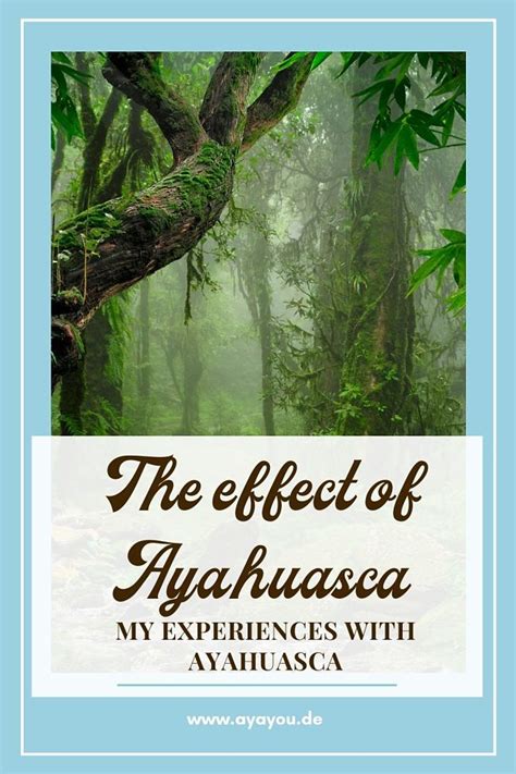 Effects of Ayahuasca: My experiences with Ayahuasca - Ayayou