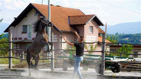 Otac Rudar Je Pogino Kad Sam Imao Godina A Ljubav Prema Konjima Je