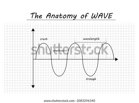 Scientific Diagram Show Anatomy Composition Wave Stock Vector (Royalty ...